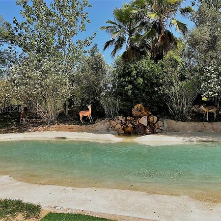 Parque Da Mina Hotel Monchique Kültér fotó