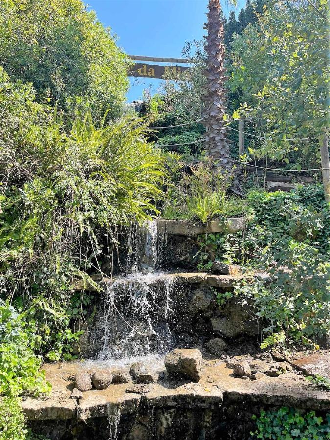 Parque Da Mina Hotel Monchique Kültér fotó